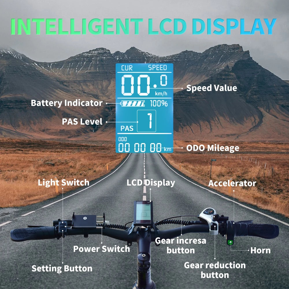 DEEPOWER H26PRO 2000W Fat Tire Folding Electric Mountain Bike