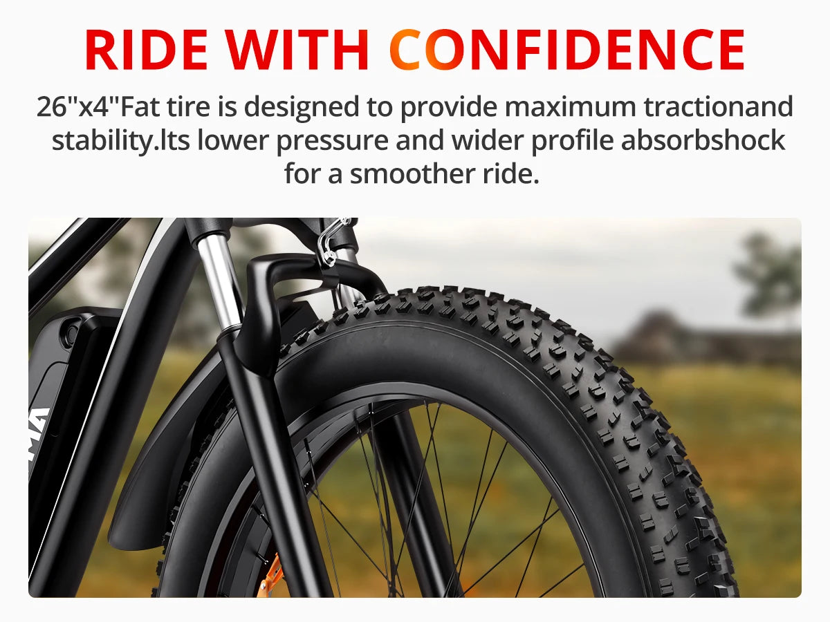 AMYET 1000w EB26 Fat Tire Hight Performance Electric Mountain Bike