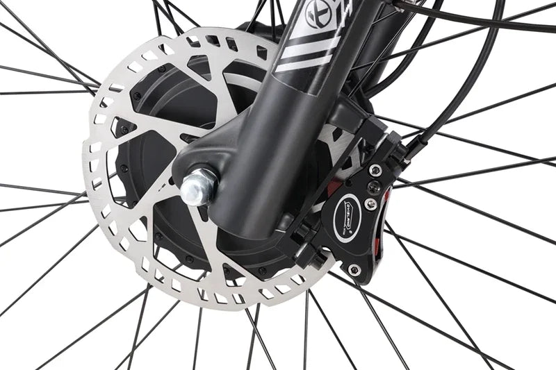 Keteles K800 2000W Fat Tire Bike Electric Mountain Bike - 2 Power Options Available!